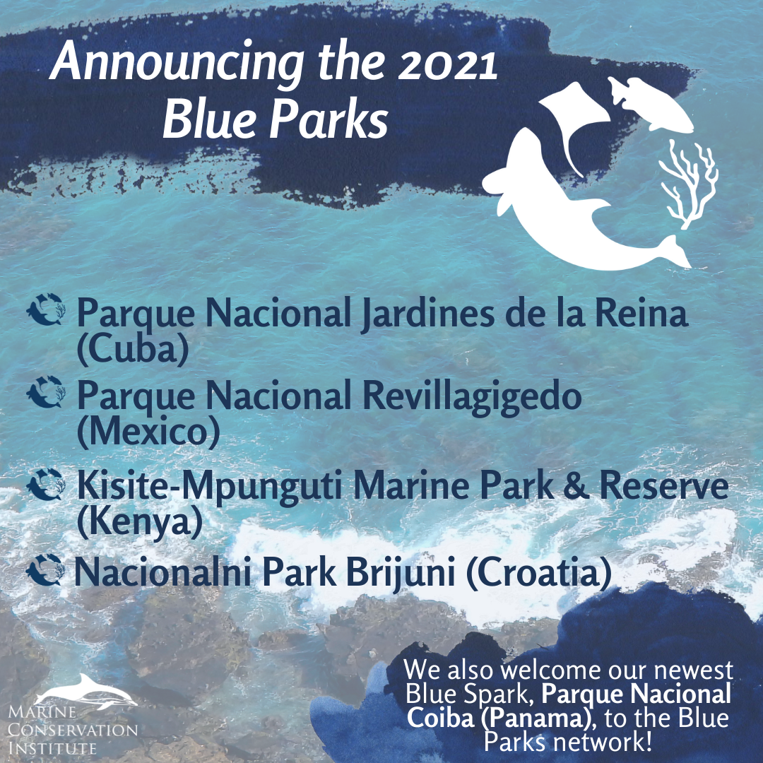 Der Nationalpark Brijuni erhält den Blue Park Award und tritt so dem wachsenden weltweiten Netzwerk für Meeresschutz bei