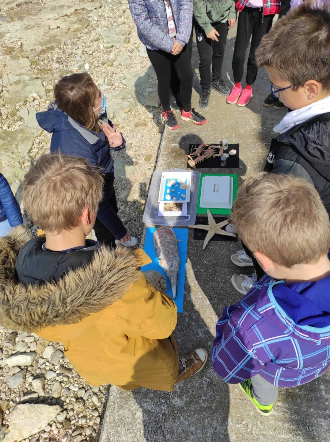 Održane edukativne radionice u sklopu projekta "Eko Fažana 2021"