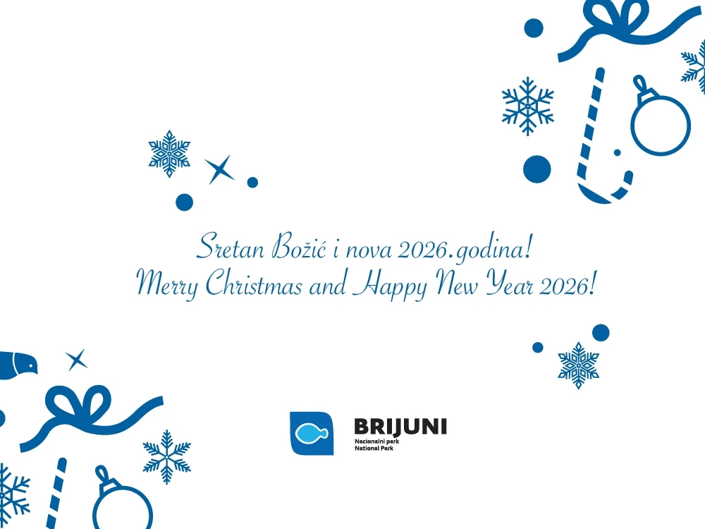 Merry Christmas and Happy New Year