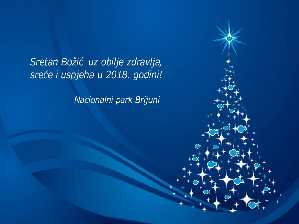 Veseli blagdani i svako dobro u 2018.