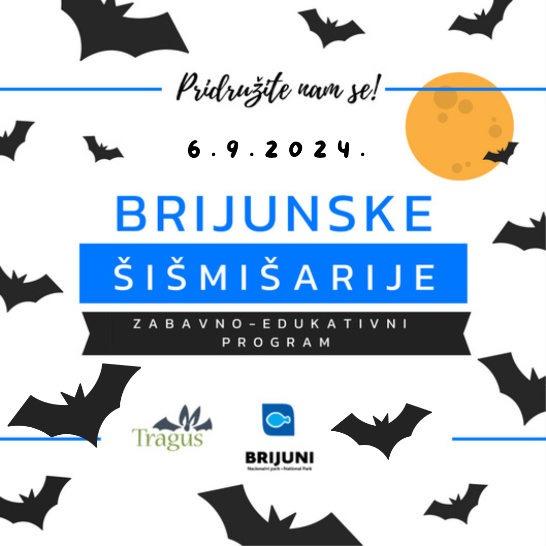 Brijunske šišmišarije - Noć šišmiša 2024.