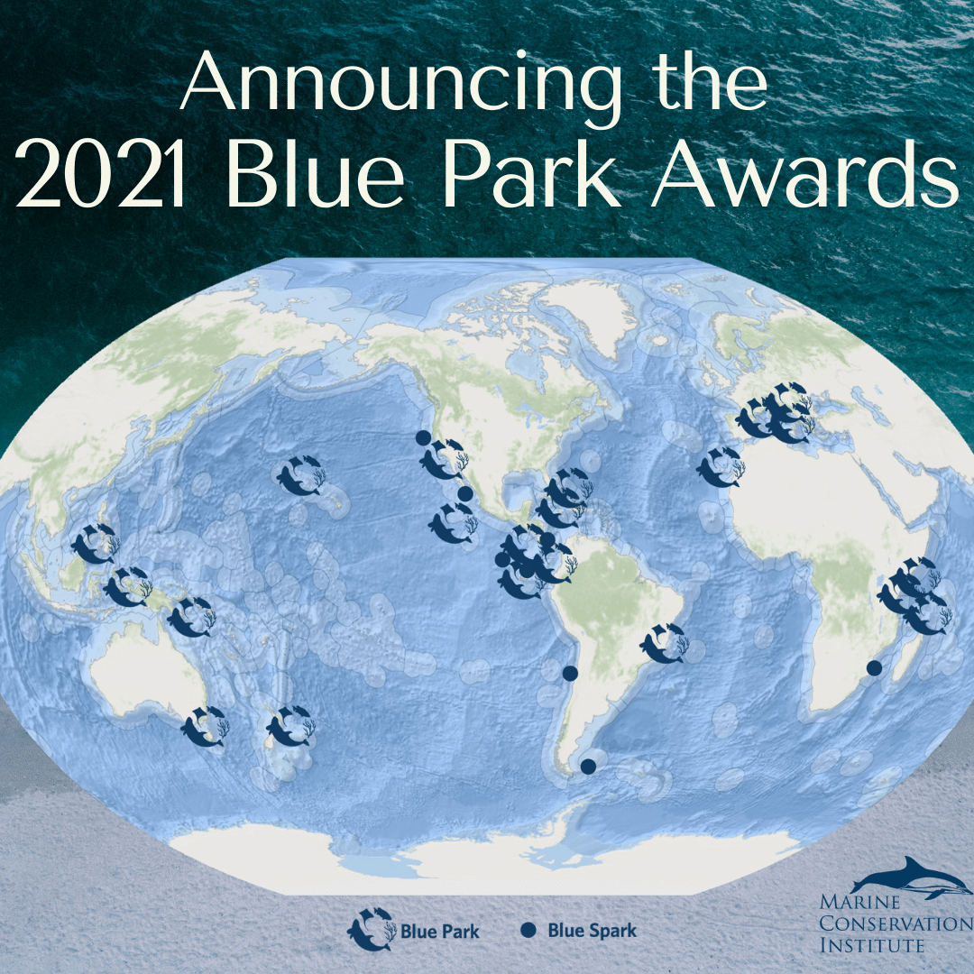 Al Parco nazionale di Brioni assegnato il premio Blue Park; si unisce alla crescente rete globale per la conservazione del mare