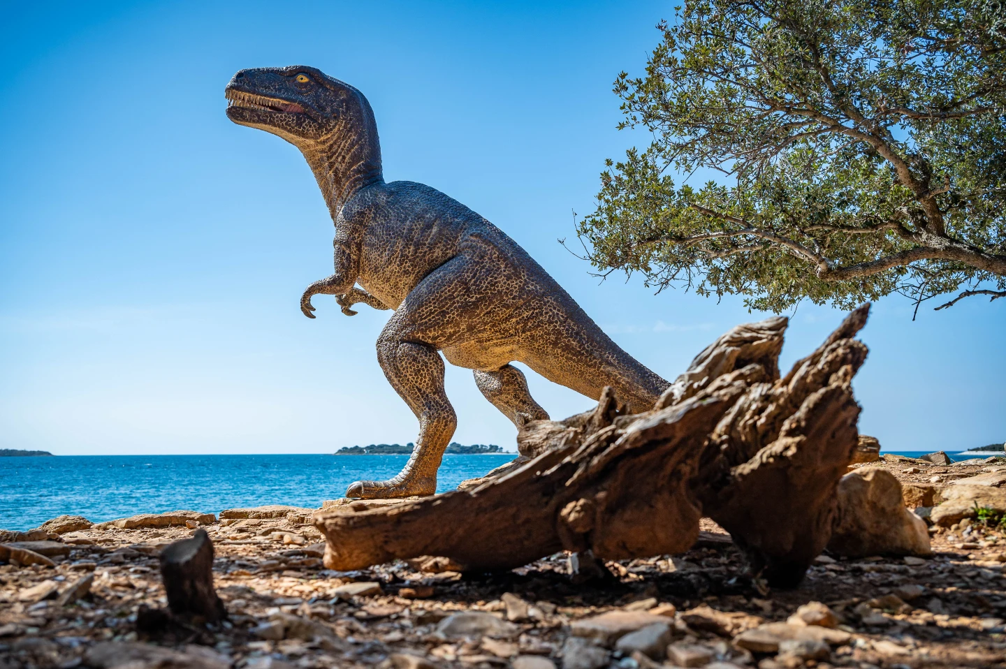 Obilježen Dan dinosaura u Nacionalnom parku Brijuni