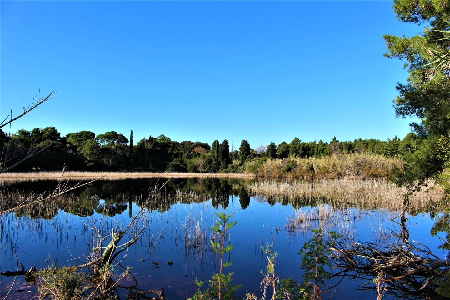 GREW - Governance of Wetlands in Italy-Croatia cross border region