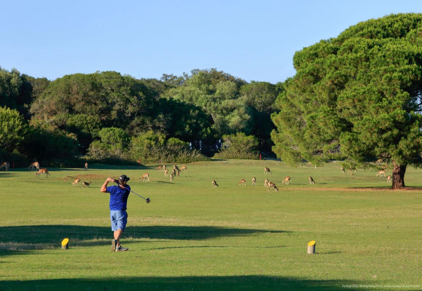 Golf today