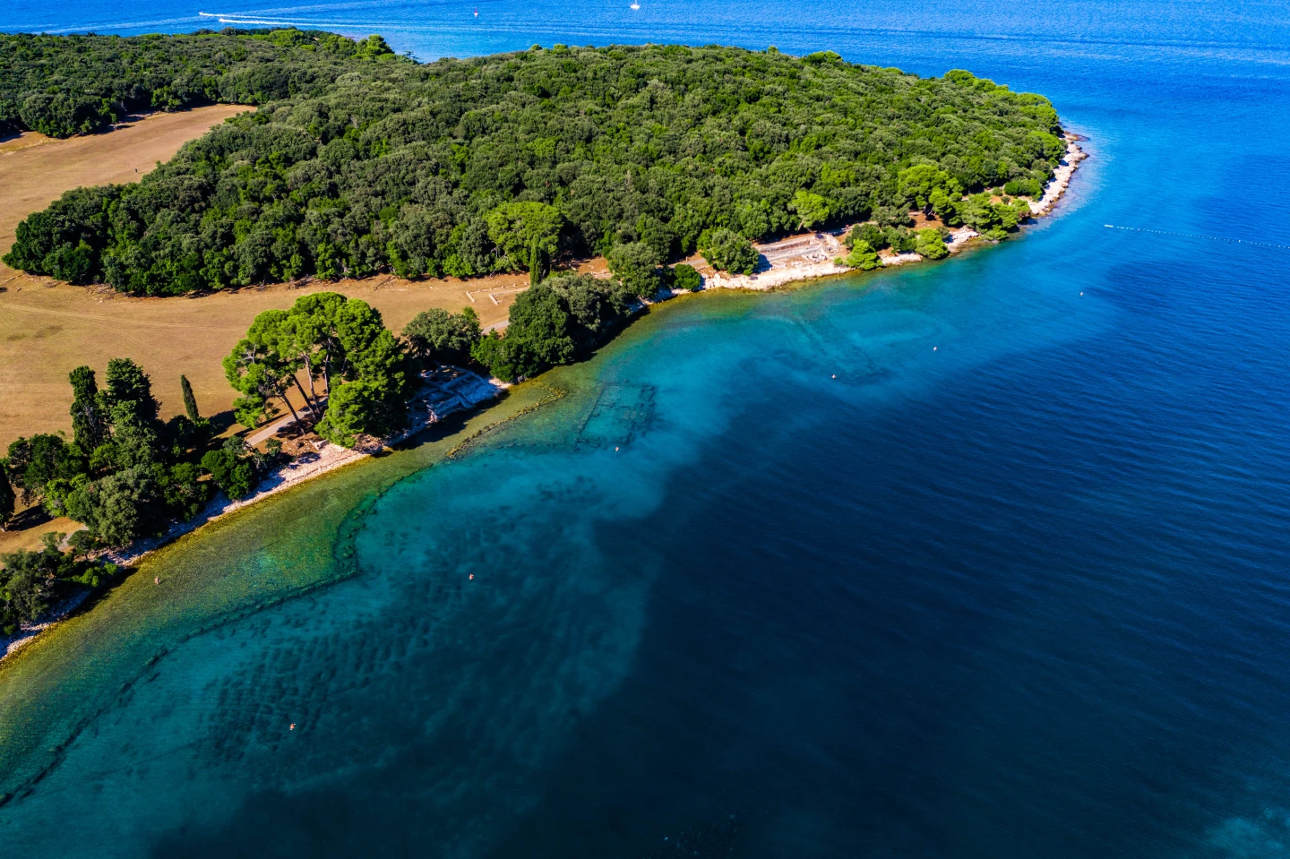 Snorkeling at Verige Archaeological Site