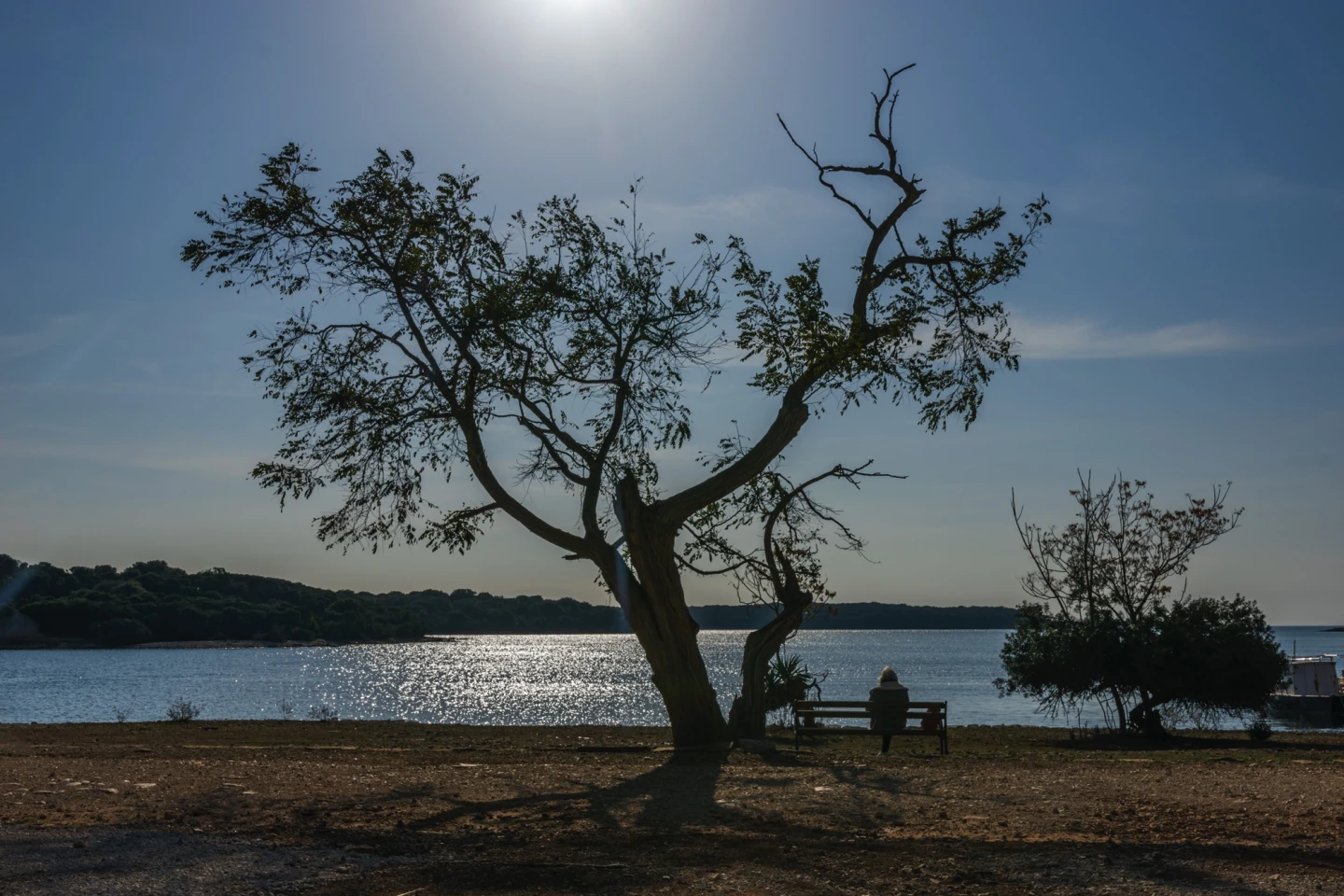 Zašto su Brijuni top destinacija za svakog solo putnika