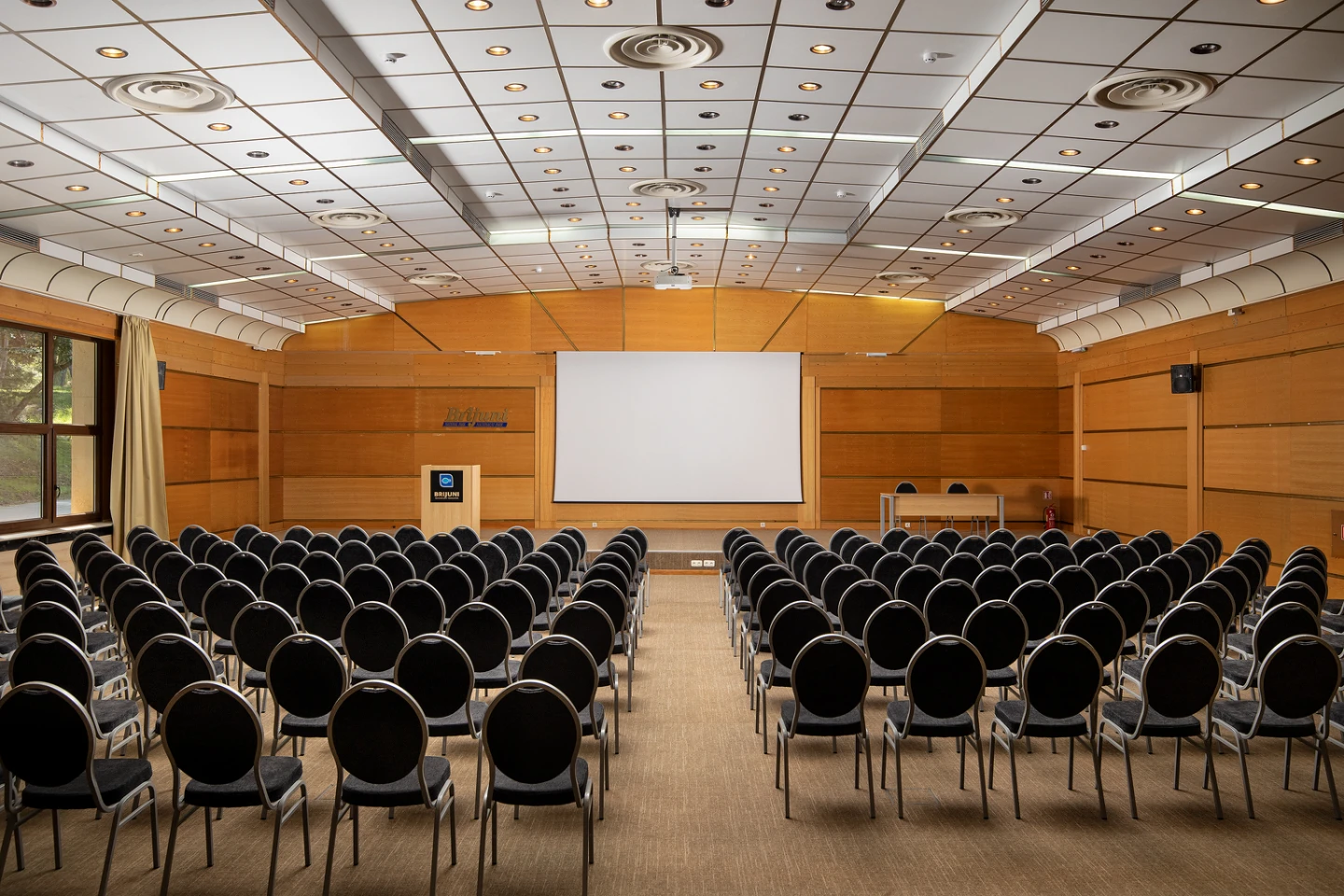 Congresses and conferences
