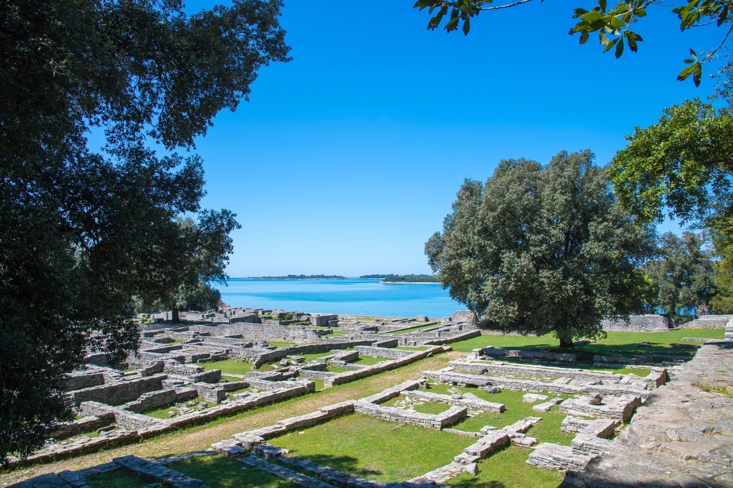 Archaeological  tour