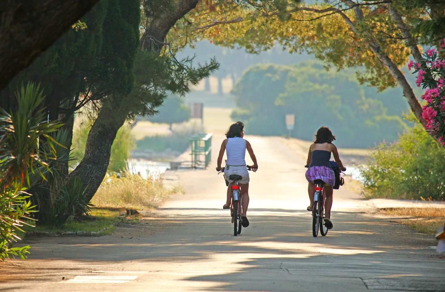 Bicycle trail