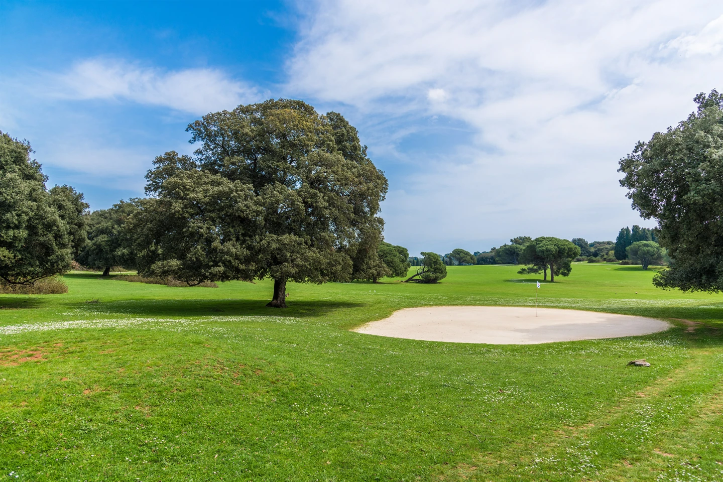 Golf