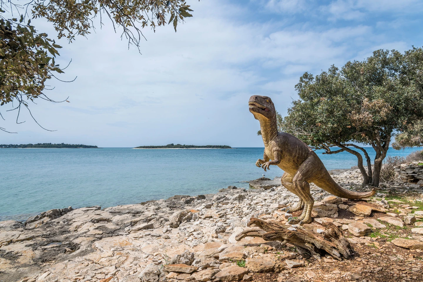 Dinosaurs on Brijuni