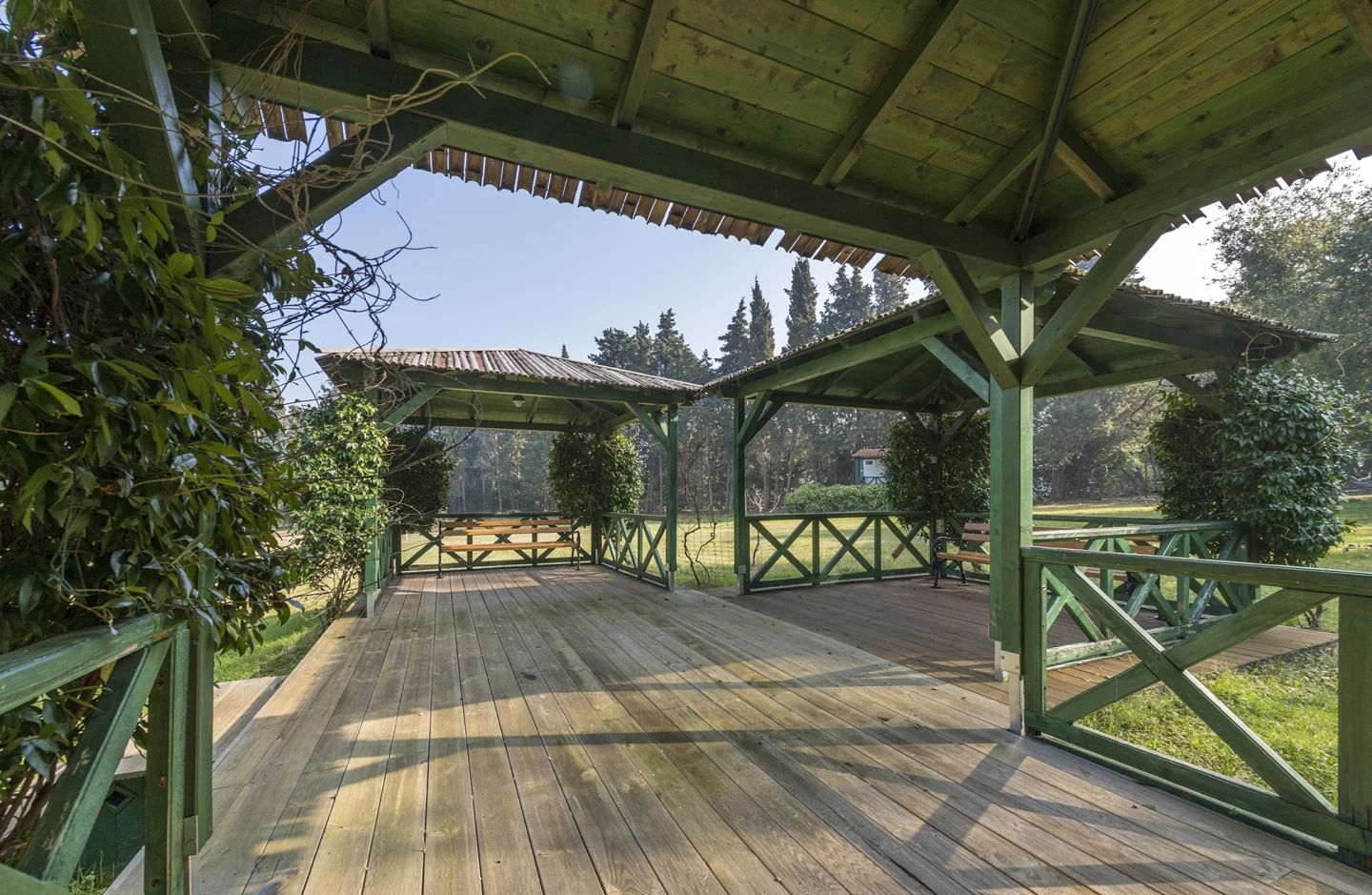 The Mediterranean garden