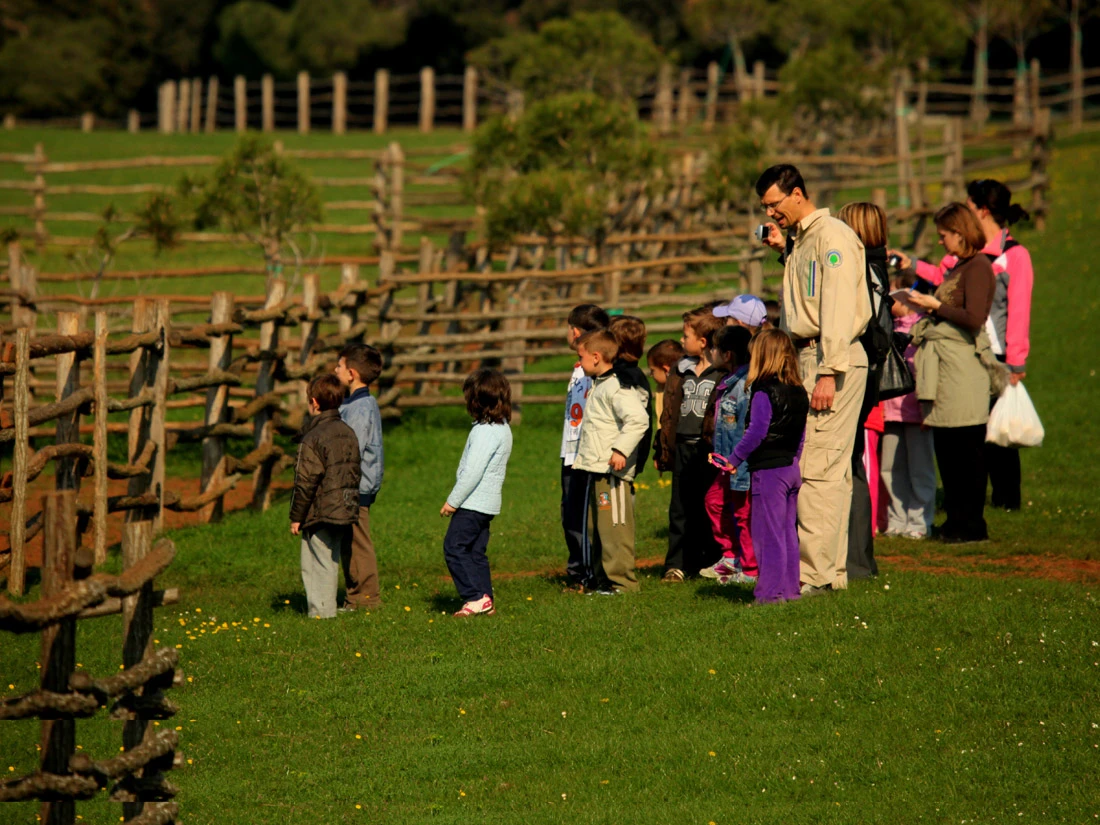 Schools and kindergartens